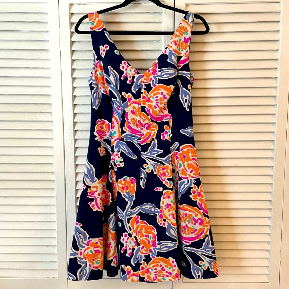 Lilly Pulitzer Clove Dress - Rare 2013 print - Pom Poms